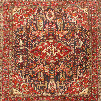 Maahin Oriental Indoor Rug