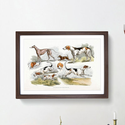 Hunting Dogs by Henry Alken - Picture Frame Painting Print