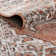 Weingartner Oriental Indoor Rug
