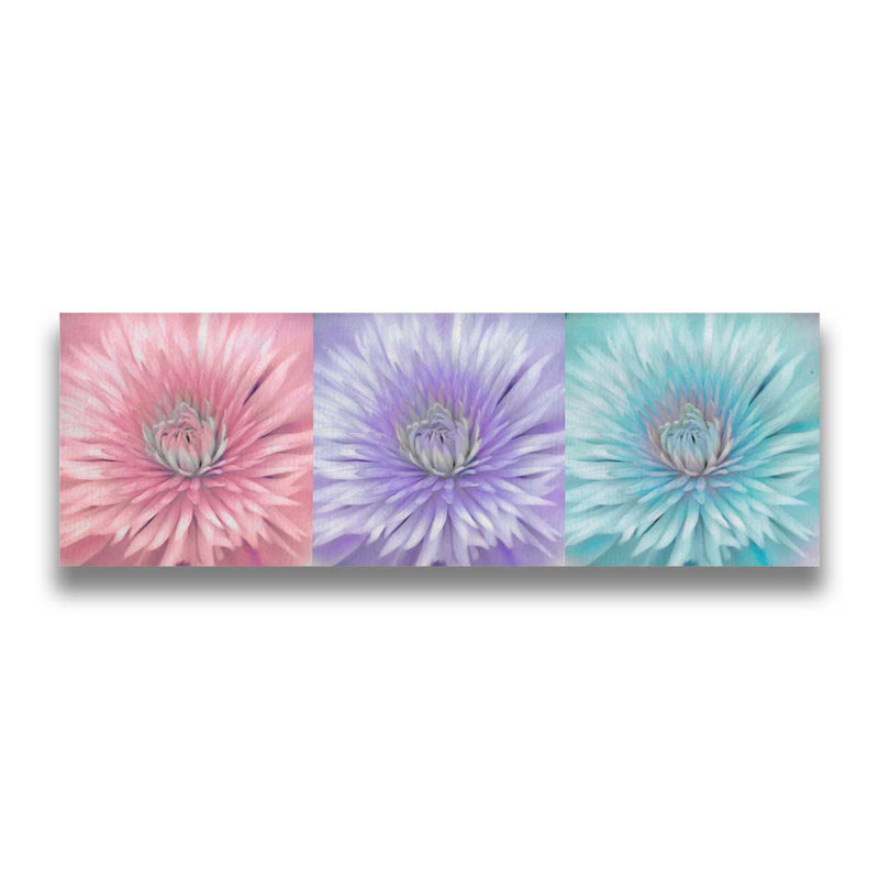 Clematis Triptych by Hal Halli. Paper Print - Mounted & Framed with Clear Acrylic, image size, 19" H x 49" W