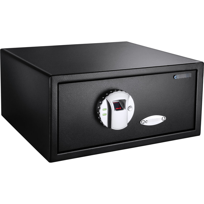 Coffre-fort de sécurité biométrique 0,79 pi³, reconnaissance d'empreintes digitales, 120 profils utilisateur, noir, acier, -, mode silencieux, coffre sécurisé pour accès d'urgence, système de pointe, fentes, - construction, utilisation, clés
