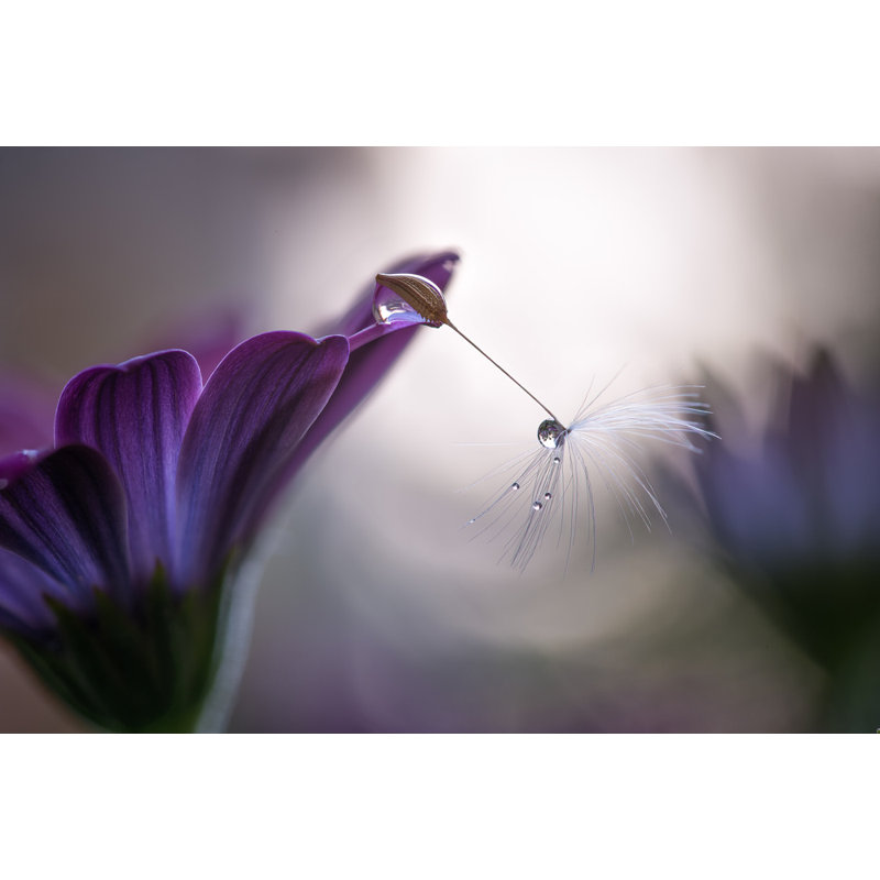 Wrapped Canvas Print, 60.96 cm H x 91.44 cm W