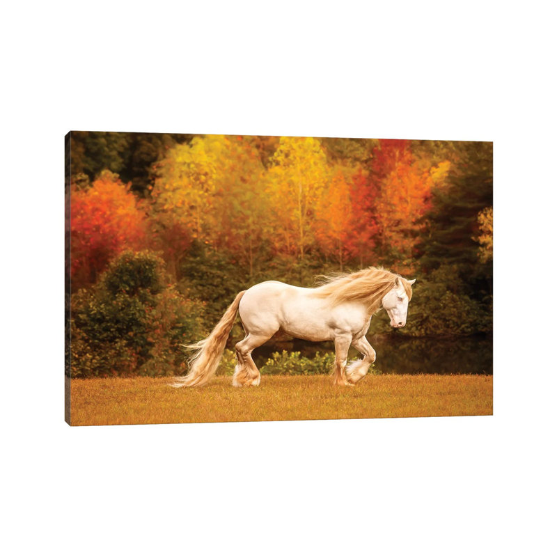 Golden Lit Horse VI by PHBurchett - Wrapped Canvas Print, 20.32 cm H x 30.48 cm W