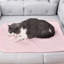 Tapis de refroidissement en soie glacée pour chien Summer Cool-1920502276-1920502335