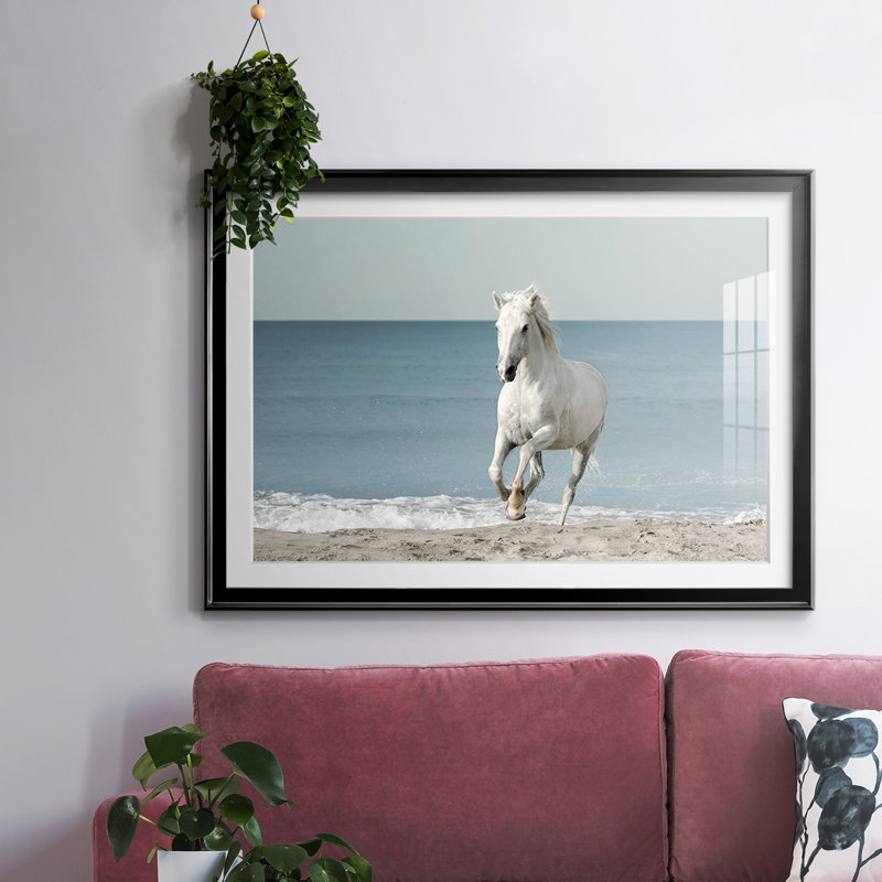 Camargue Beach Horse encadré sur papier, Noir, H 19 po x l 27 po x P 1,5 po