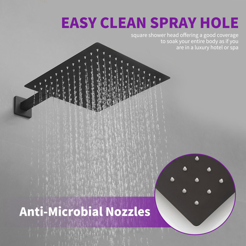 Luxurious Single Handle 2-Spray 10 In. Wall Mount Square Shower Head With Hand Shower Faucet, Matte Black