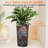 2 Pack Tall 21.7 In Planters For Outdoor Plants Modern Tall Square Planter Box Indoor Outdoor Porch Patio Flower Pot Modern Big Tapered Matte Tree Flower Pot For Garden, (Grey)-694533275