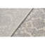 Oriental Area Rug