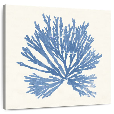 Brampt Pacific Sea Mosses II Light Blue