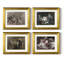 Vintage Floral VIII  -4 Piece Set of Framed Prints