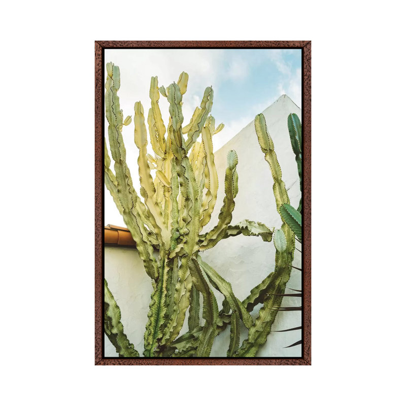 California Cactus by Bethany Young - Print on Canvas, 101.6cm H x 66.04cm W x 3.81cm D, Classic Brown Wood Framed