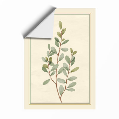 Study Botanical - Framed Print