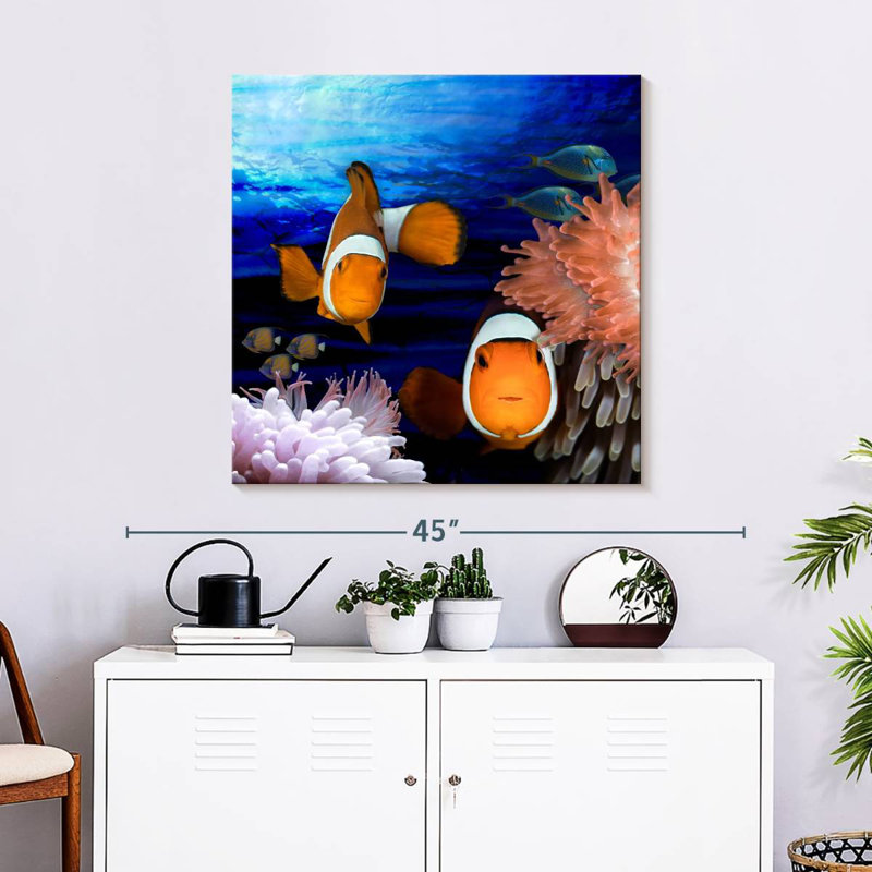Crowle Sea Creatures Clown Fish