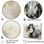 Hooves in Harmony Horse - cheval, art mural-256864983-256864982