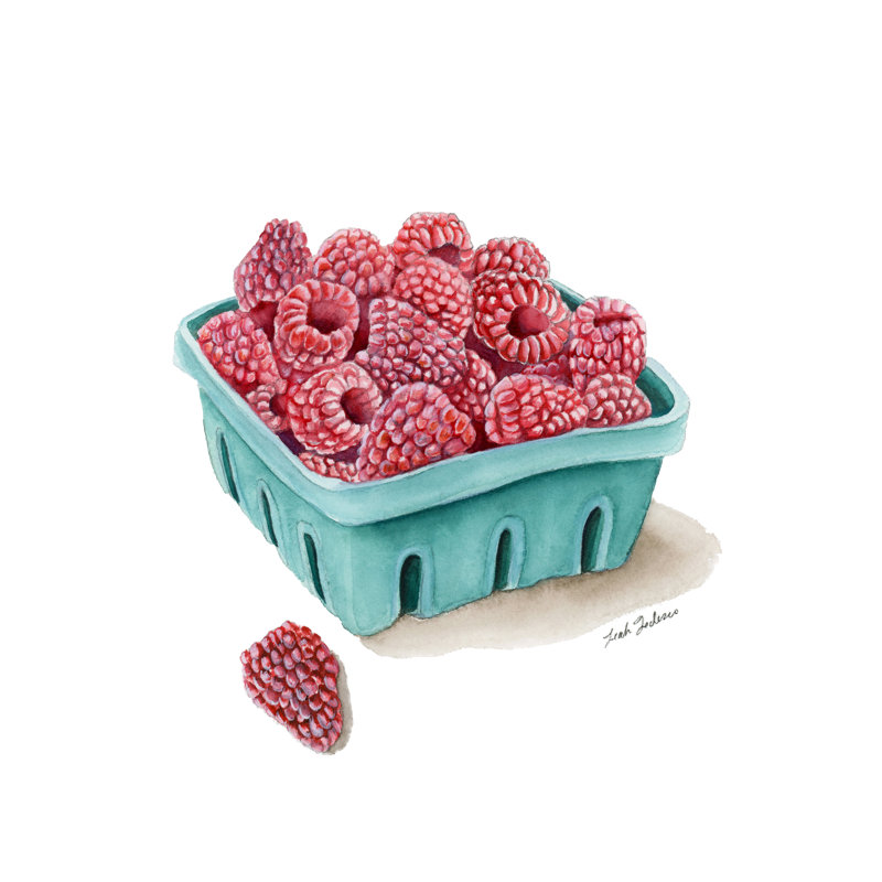 «Raspberries» par Leah Tedesco sur, Pas de tapis, H 30 po x l 20 po, Toile tendue