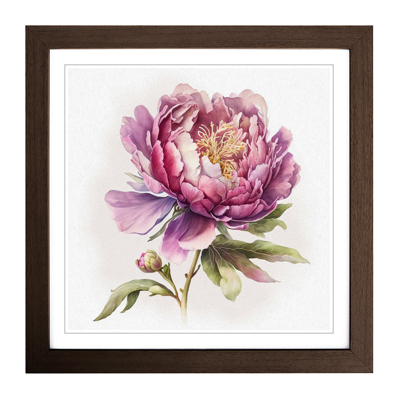 Peony Flower Watercolour - Framed Print, Walnut