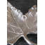 Aluminum Decorative Plate
