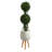 Boxwood Double Ball Topiary Tree in Planter with Stand
