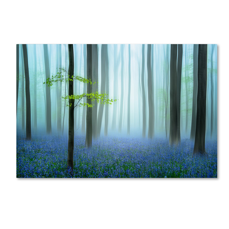 Blue Forest Scenic Landscape Canvas Art with Wood Frame