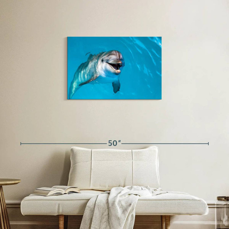 Brampt Dolphin's Smile