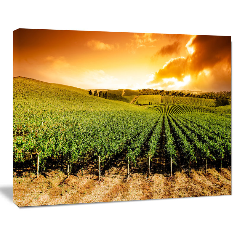 Sunset Vineyard Panorama - Photographie sur toile tendue, H 30 po x l 40 po x P 1 po