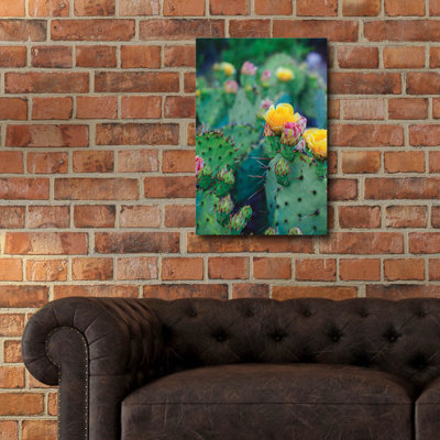 «Spring Cacti 1» par Sonja Quintero