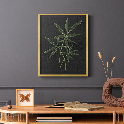 Simple Tropics II Framed Print - Solid Wood