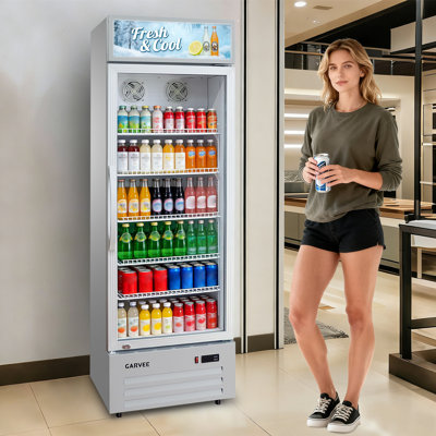 19.1 Cu.ft Commercial Beverage Cooler with RGB LED Lights & Remote - 280 Can Glass Door Display Fridge, Frost-Free Air-Cooled Refrigerator with Top Light Box for Bar, Restaurant, Cafe, Store