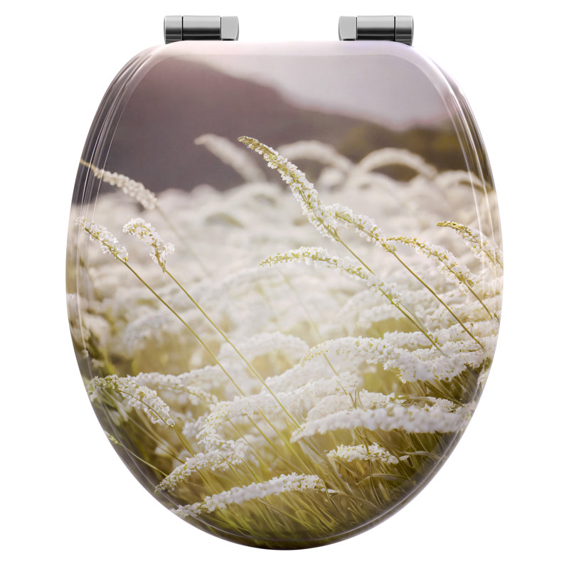 Toilet Seat, O-Shaped Loo Seat With Soft Close And Quick Release Functions, With Adjustable Hinges, Upgraded Mounting Set For Different Types Of Toilets, Reeds Pattern