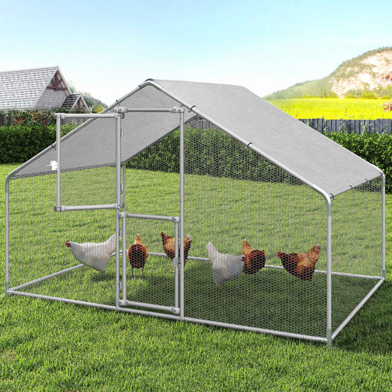 Cyril Walk In Chicken Run, 193cm H x 300cm W x 200cm D