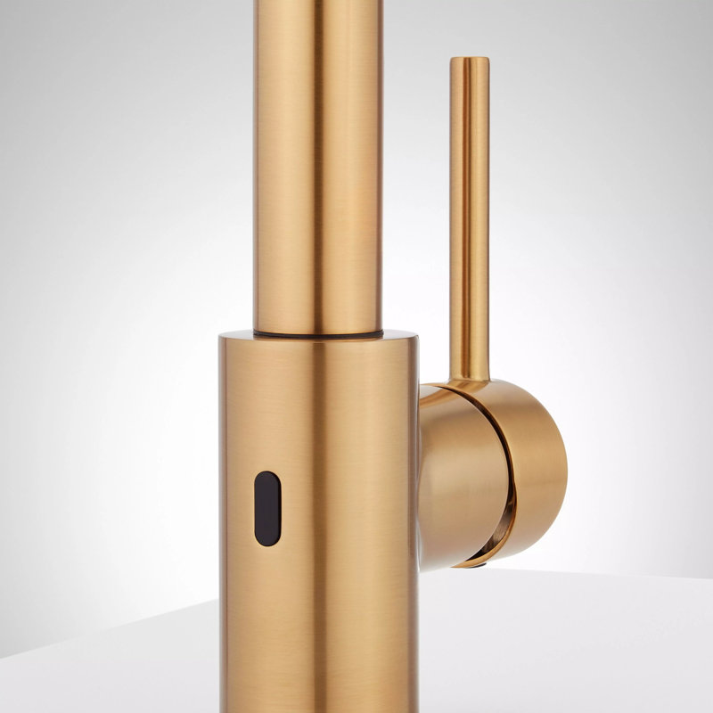 Ridgeway Single Hole Pull Down Touchless Kitchen Faucet with Deck Plate, Brushed Gold