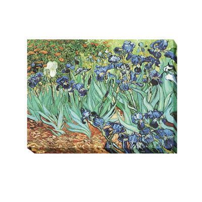 " Irises, 1889 " by Vincent Van Gogh Painting Print