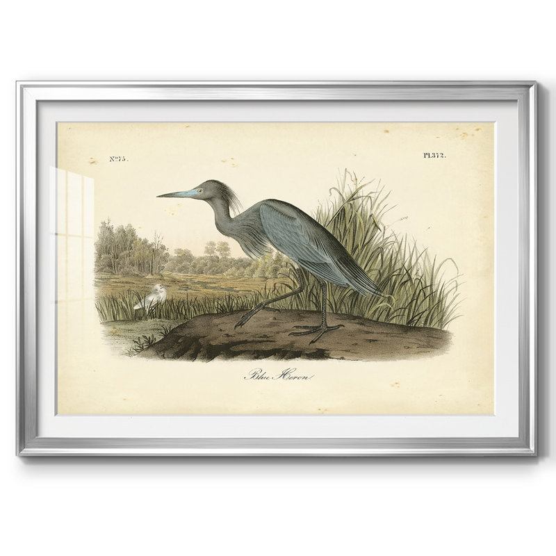 Audubons Blue Heron, reproduction imprimée sur papier, Argent, H 19 po x l 27 po x P 1,5 po