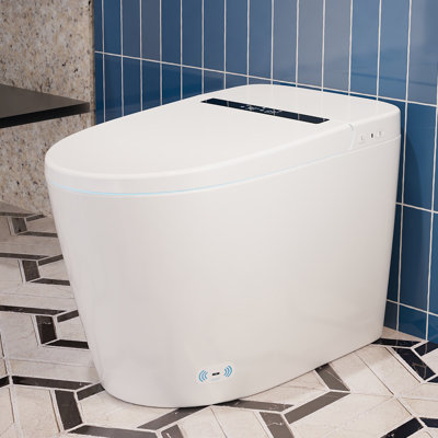Deervalley Smart Bidet Toilet With LED Display，Auto Open & Close, Heated Seat, Warm Water, Remote Control, Premium