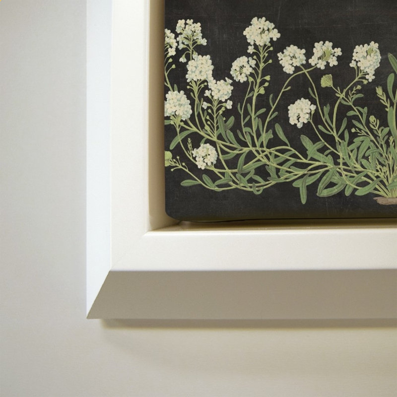 Fleurs rétro sur fond noir par Wild Apple Portfolio - impression sur toile, H 34 po x l 34 po, Blanc