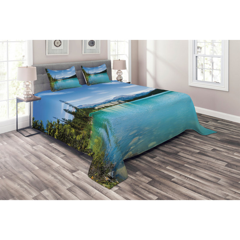 Modern & Contemporary Polyester Coverlet