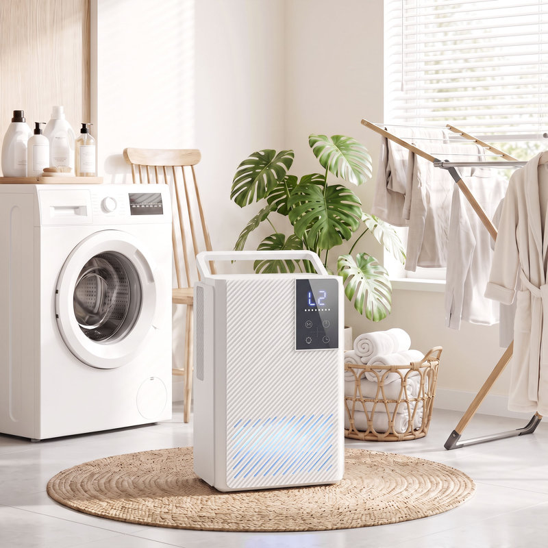 Dehumidifier