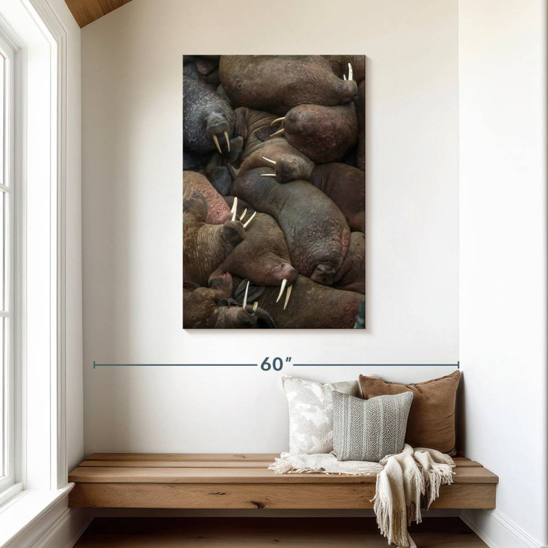 Brampt Walrus Rookery, 45" H x 30" W