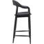 Trezza Modern Bar Stool