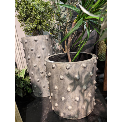 Spiky Pot - Set of 2