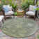 Machine Washable Indoor/Outdoor Xhevrie Sage Rug