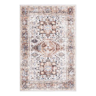 Nienke Oriental Indoor Rug
