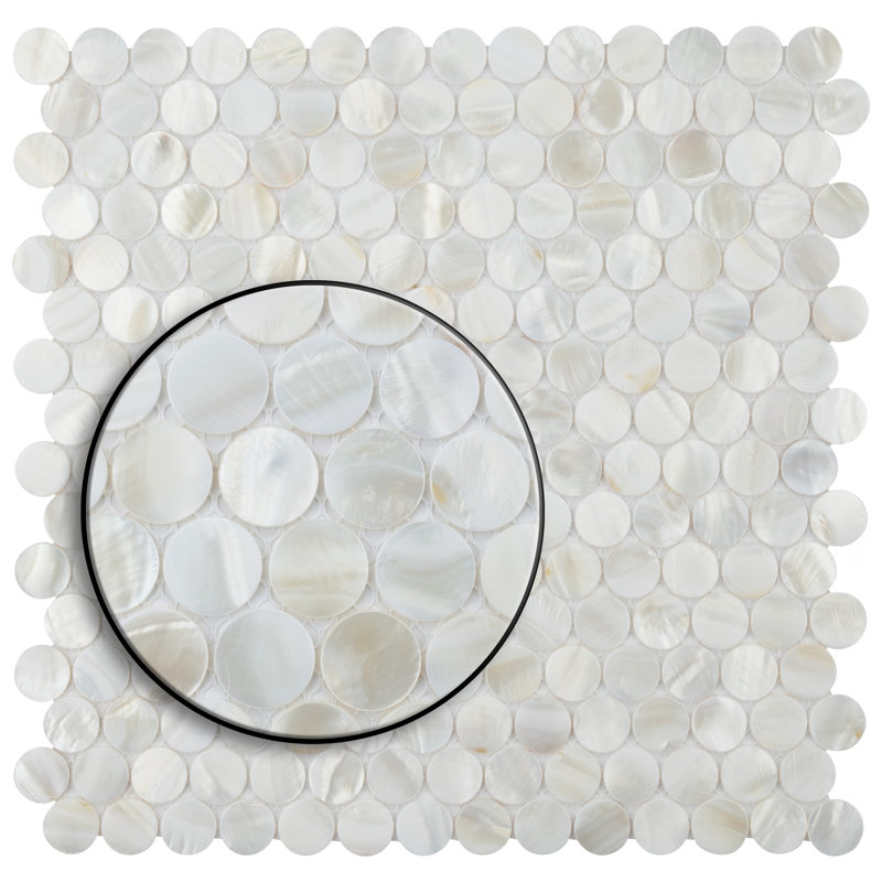Conchella Mini Penny White 11-1/2" x 11-5/8" Natural Shell Mosaic Tile