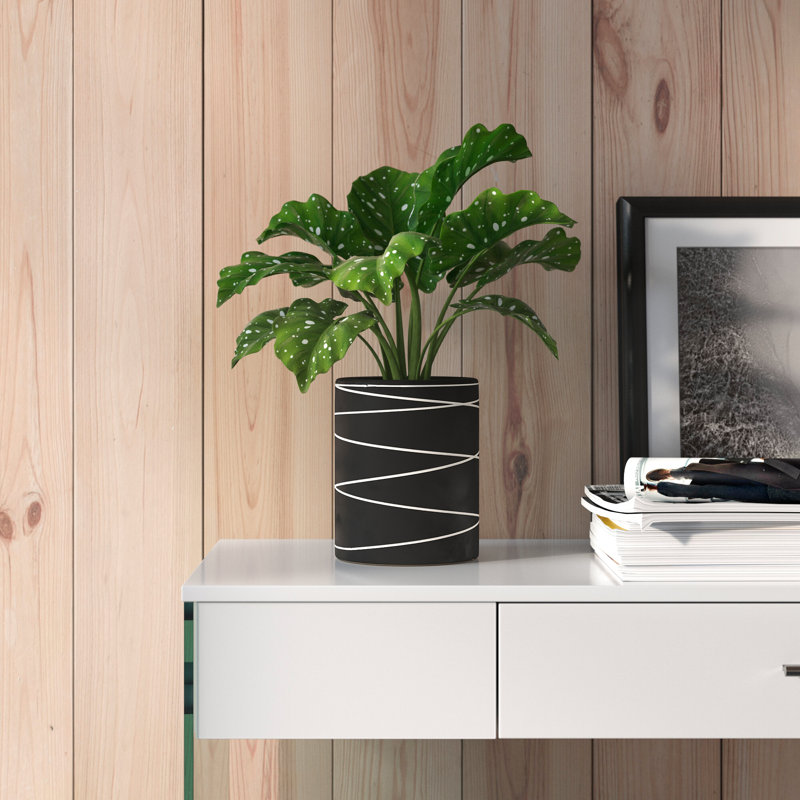 Alphia Ceramic Pot Planter, Black