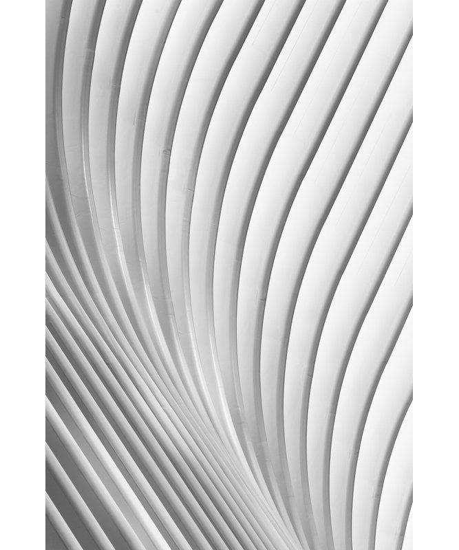 Wrapped Canvas Print, 91.44 cm H x 60.96 cm W