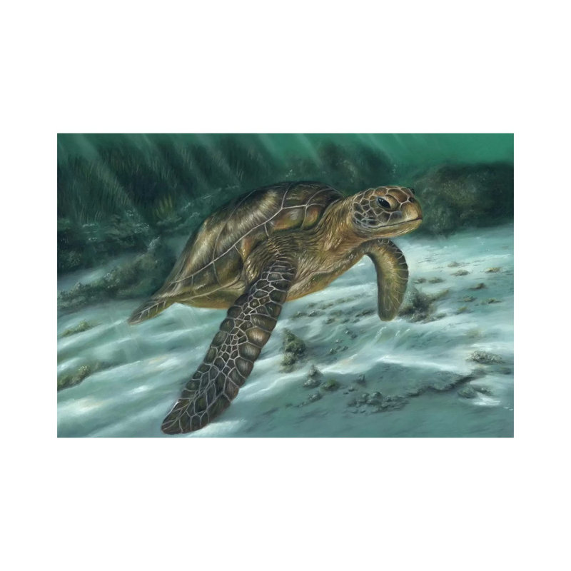 Sea Turtle by Richard Macwee - Wrapped Canvas Gallery-Wrapped Canvas Giclée, 101.6 cm H x 66.04 cm W x 1.91 cm D