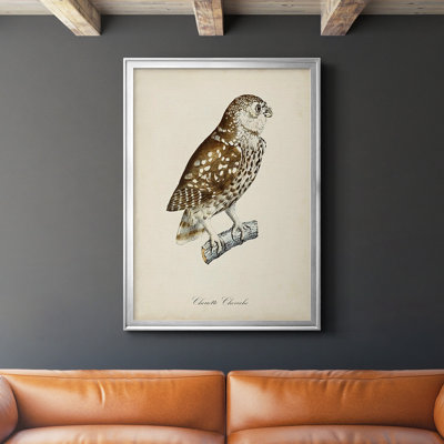 «French Owls I», impression sur papier