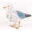 Rebbecca Gull Statue