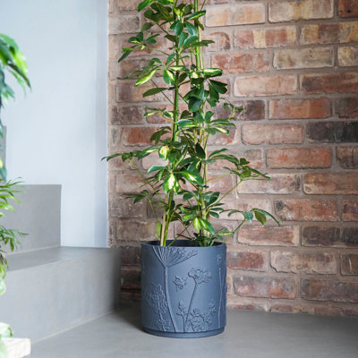 Xanthippe Pot Planter