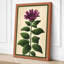 Purple Flower Study Botanical - Wrapped Canvas-1907373520-1907373521